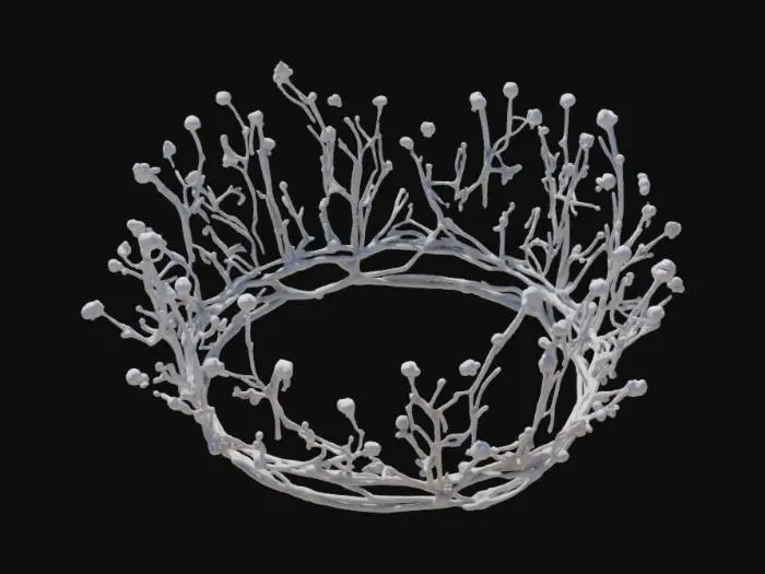 3D model for Лёгкая, воздушная корона из переплетенных серебряных ветвей, покрытых тончайшей изморозью из мелких бриллиантов и кристаллов кварца. Её ажурная структура напоминает морозный узор или лесную чащу. Серебро имеет матовый, слегка шероховатый вид, а кристаллы кажутся острыми и колкими. Корона искрится на свету, создавая впечатление хрупкости и эфирной красоты. Она кажется невесомой, но её форма четко очерчена.