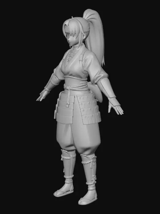 3D model for Ninja Warrior