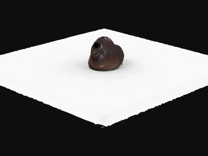 3D model for Solitary Cloak