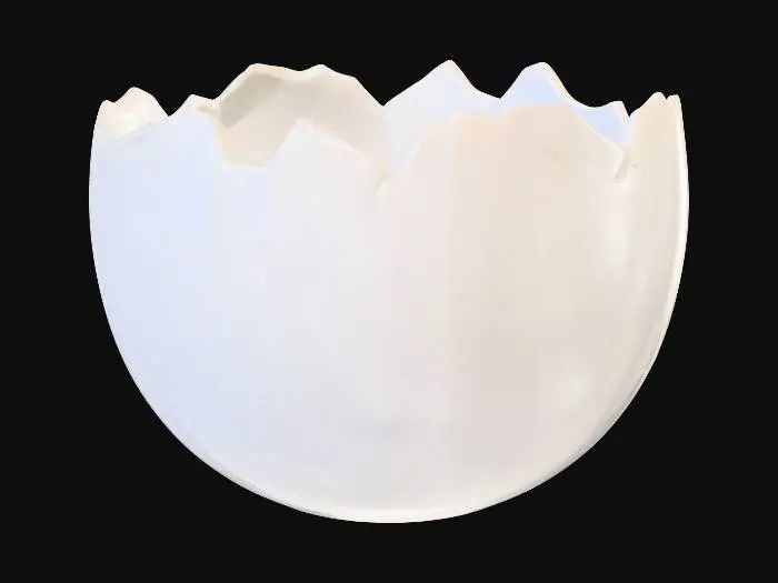 3D model for Cracked Eggshell