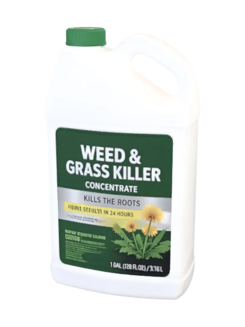 grass