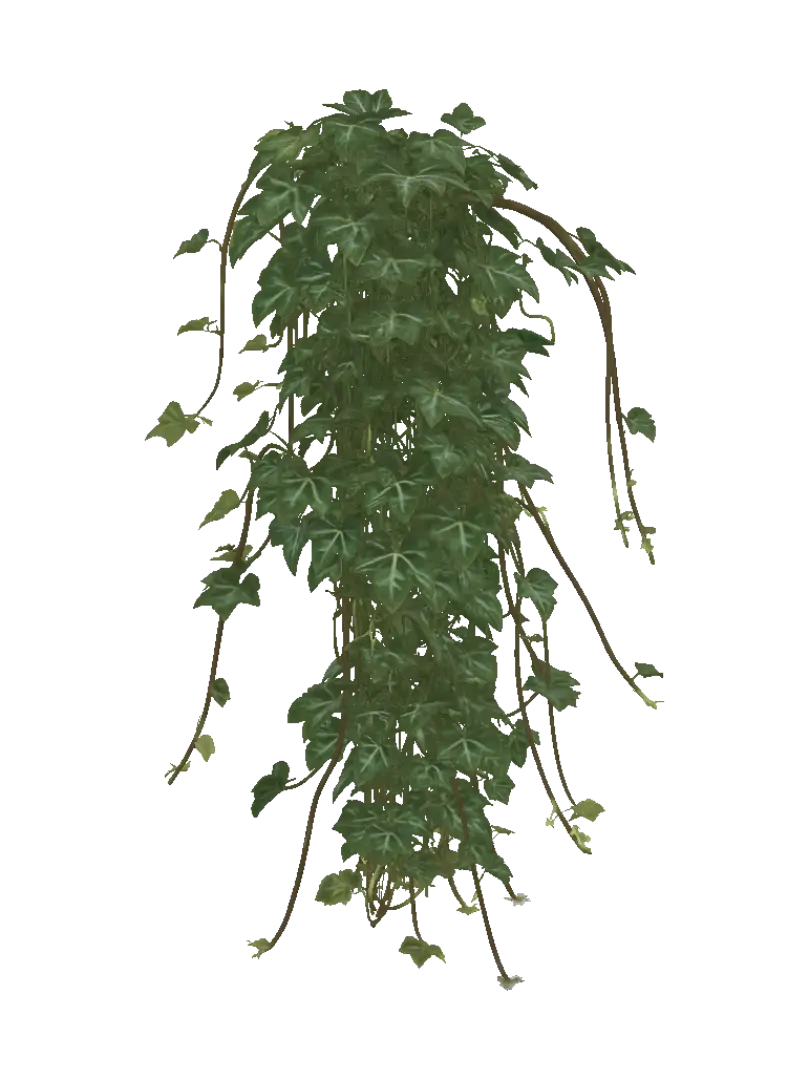 Hanging Ivy 3D model, vytvořený pomocí AI