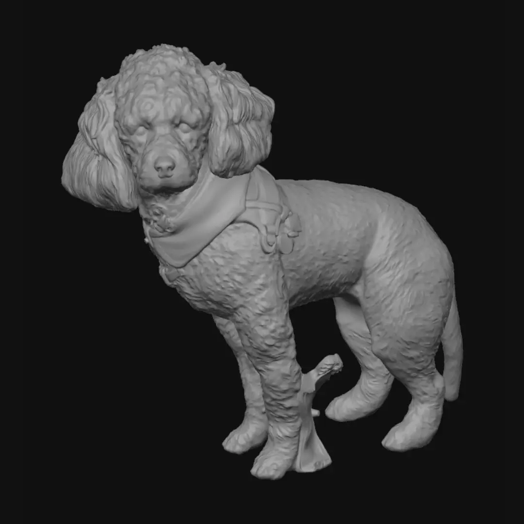 poodle