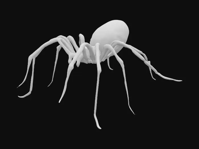 3D model for slim black glossy spider with long legs and big tail, white background, hero vibe, 8 legs