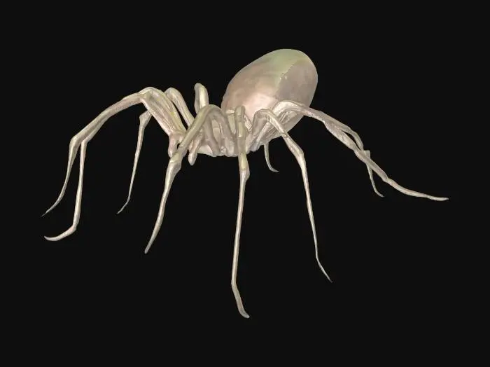 3D model for slim black glossy spider with long legs and big tail, white background, hero vibe, 8 legs