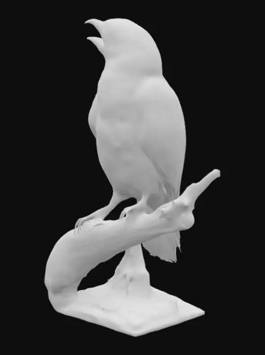 3D model for Full body portrait of a crow opening its beak, by Inio Asano, hyperdetailed, photorealistic, trending on Artstation, volumetric light, black and white, ink art, manga, sharp focus, dark, intricate, scary