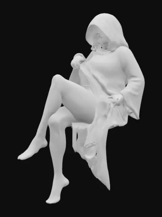 3D model for Enigmatic Silhouette