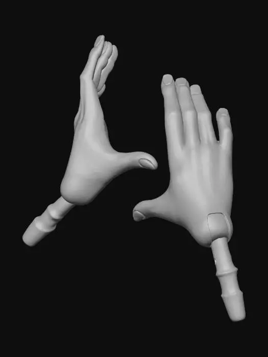 3D model for Toy Hands