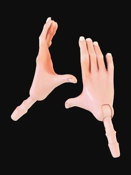 3D model for Toy Hands