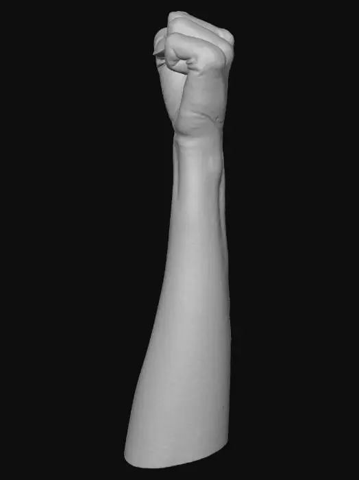 3D model for Fist in the Air
