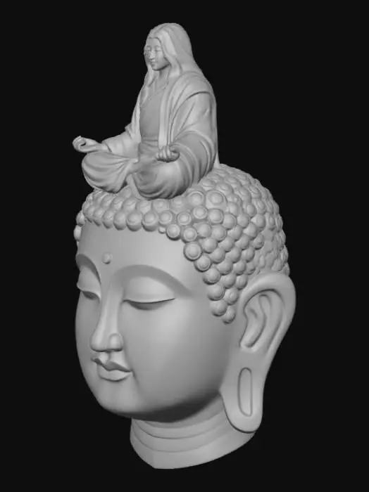 3D model for Virgo Shaka