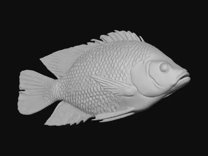 3D model for Serene Swimmers