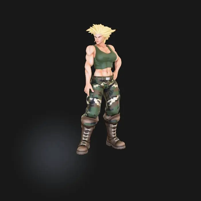 3D model for Camouflage Warrior