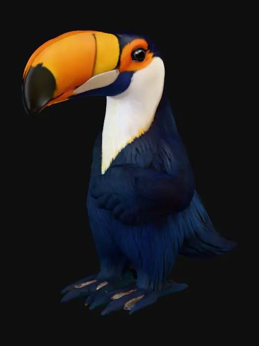 3D model for Majestic Toucan