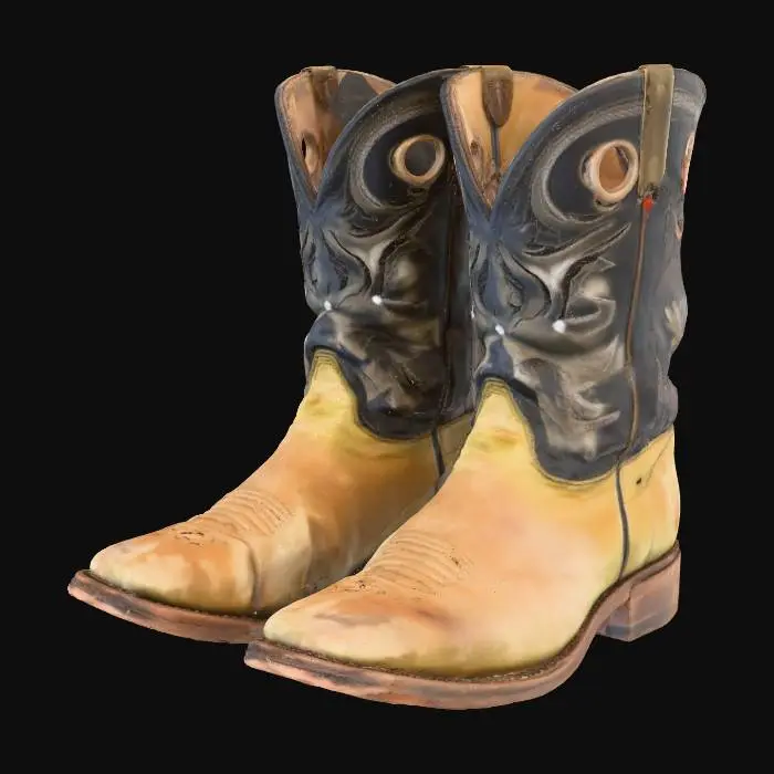 3D model for old boots