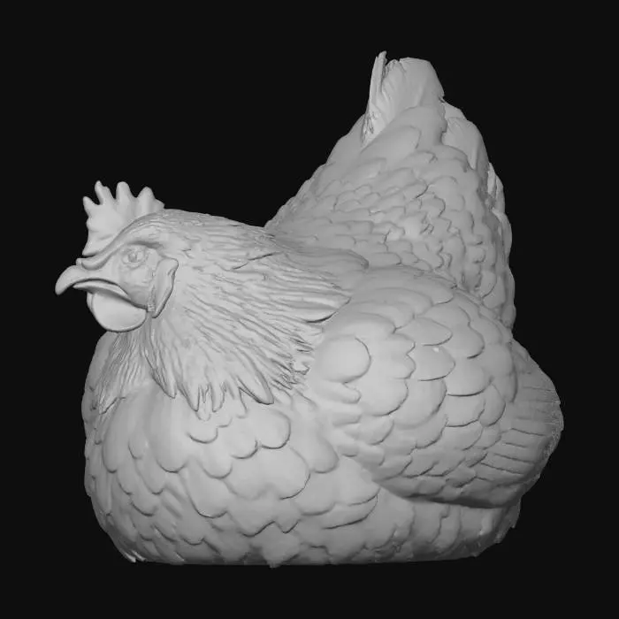 3D model for Brooding Hen