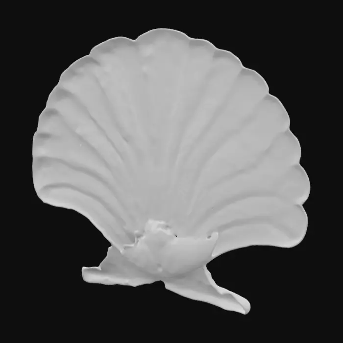3D model for Pearlescent Seashell Dish