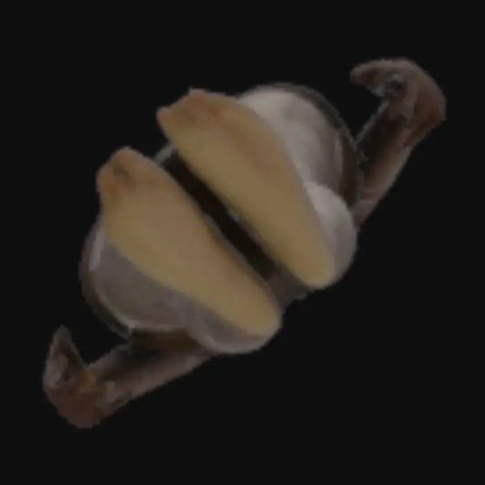 3D model for a horror female character, short skirt, Tight Crop, creepy face, long arms, long legs, a bit long neck, high details, a pose