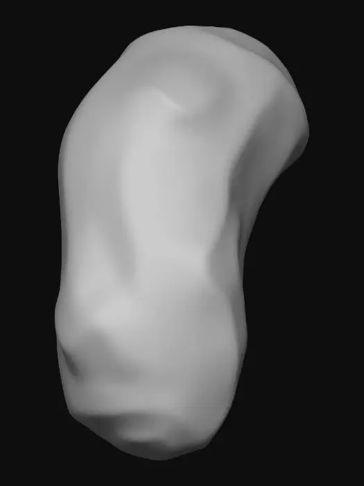 3D model for MeatMesh
