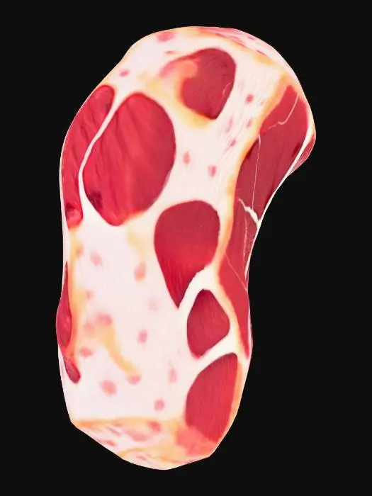 3D model for MeatMesh