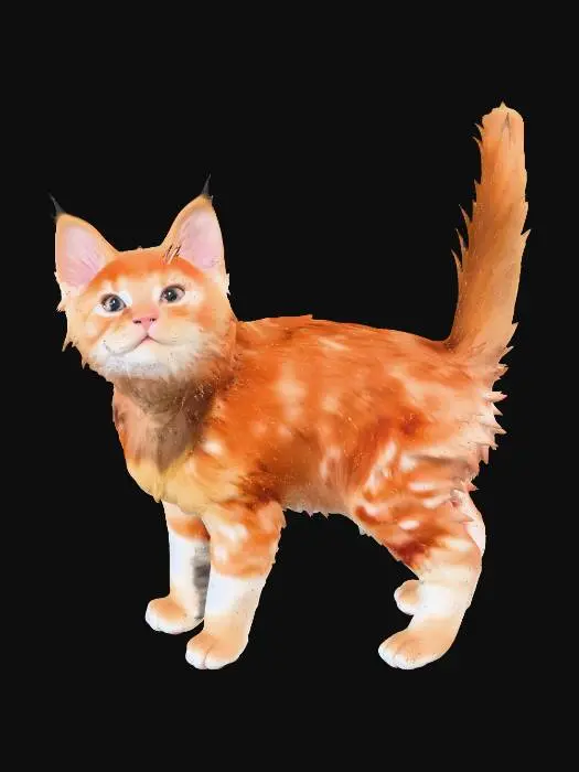 3D model for Ginger Whiskers
