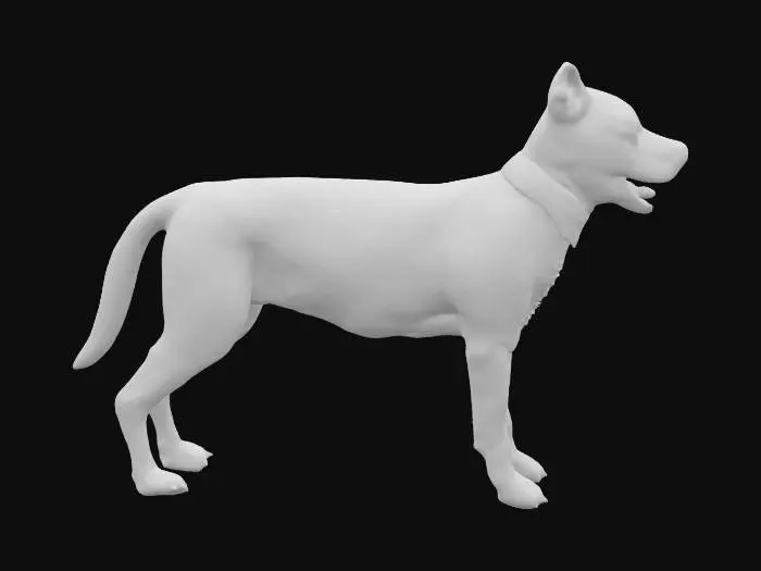 3D model for Attentive Athletic Canine