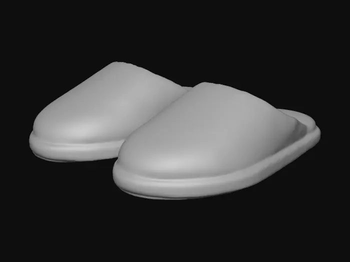 3D model for Cozy Slippers