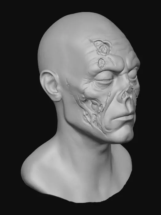 3D model for Forest Wanderer