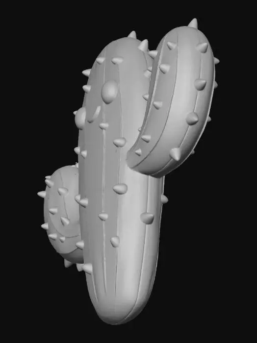 3D model for cact