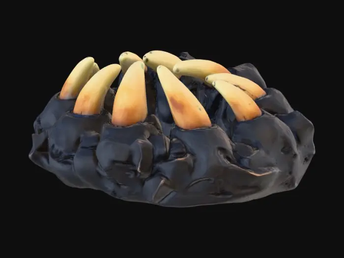 3D model for Claw Ring Artifact