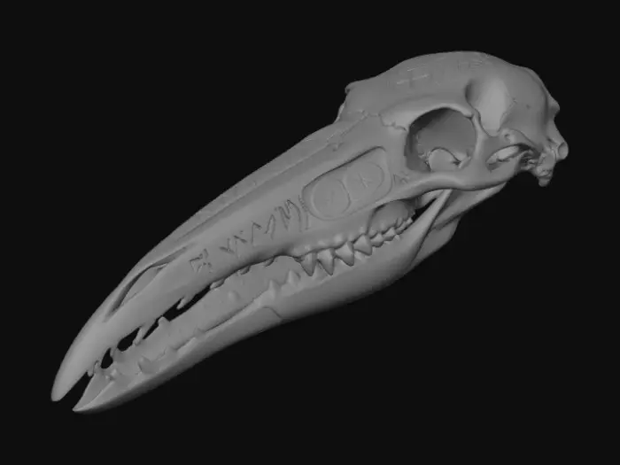 3D model for Runic Skull