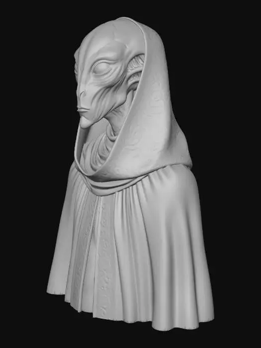 3D model for Alien Sage in Robes