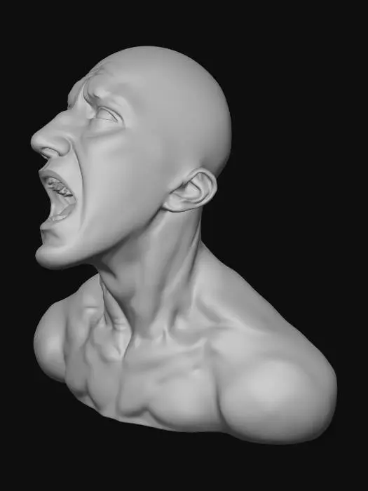 3D model for Shattered Voice