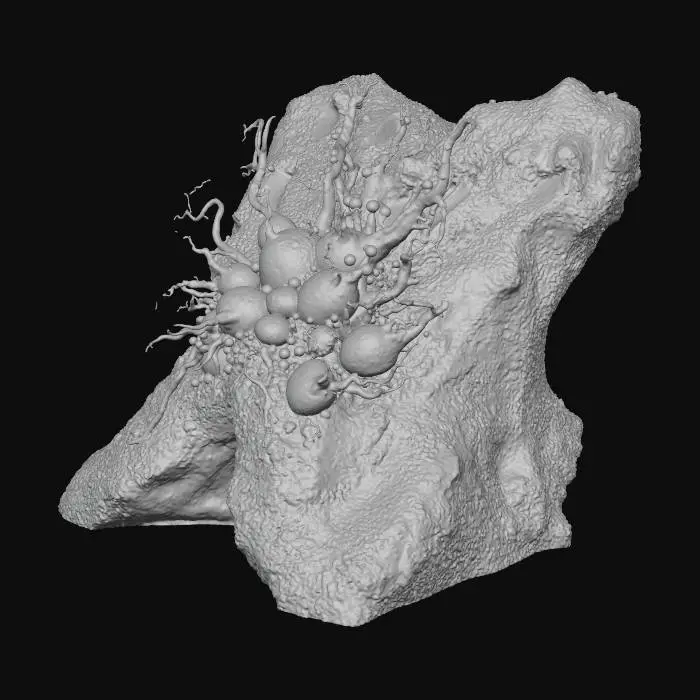 3D model for Galactic Bloom