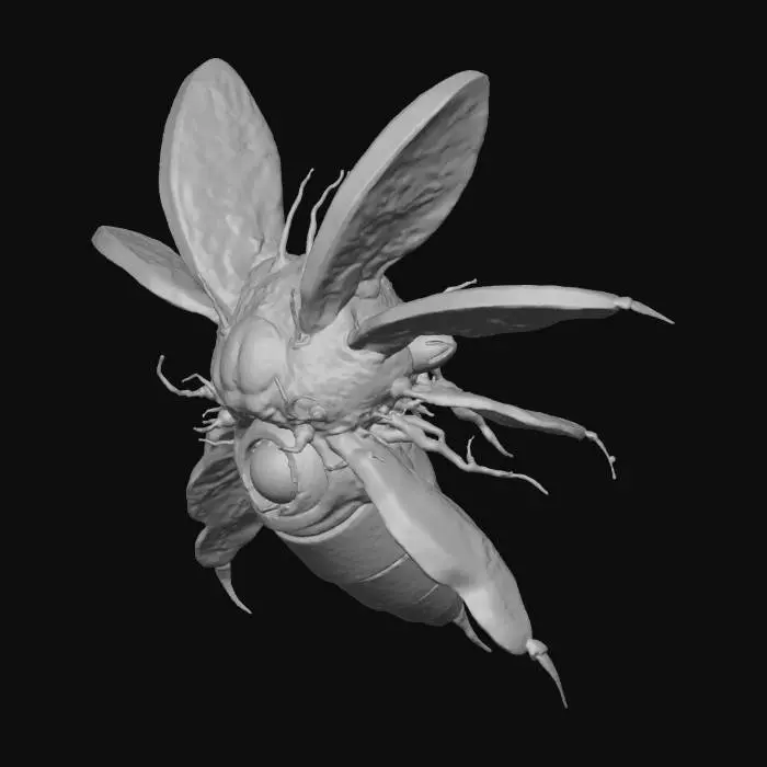 3D model for Celestial Hive