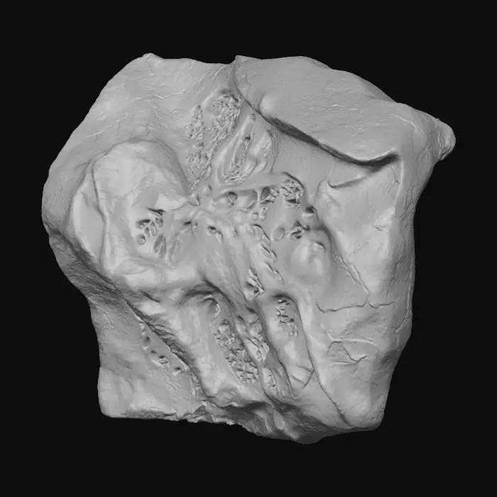 3D model for Enchanted Texture