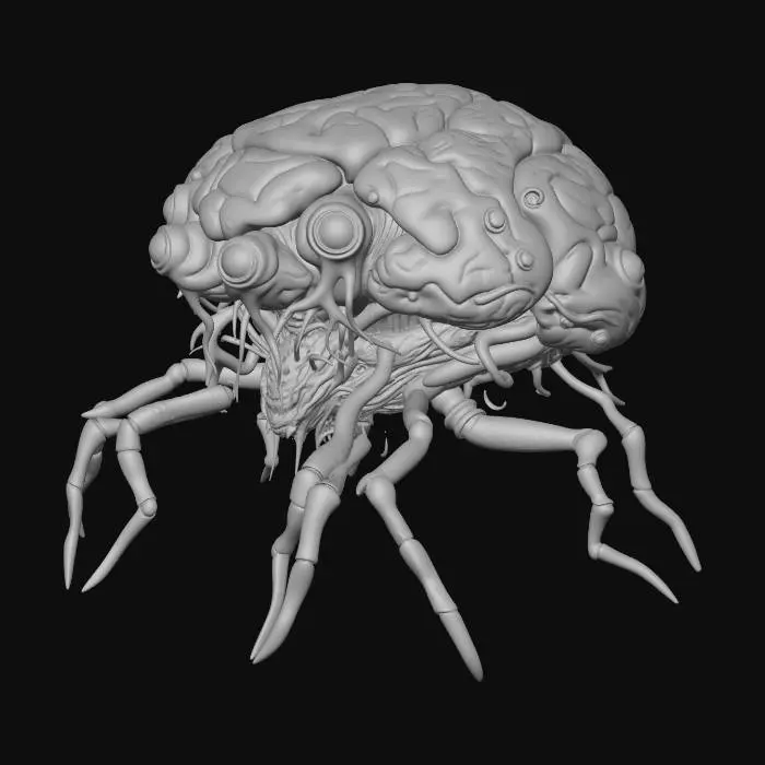 3D model for brain bug