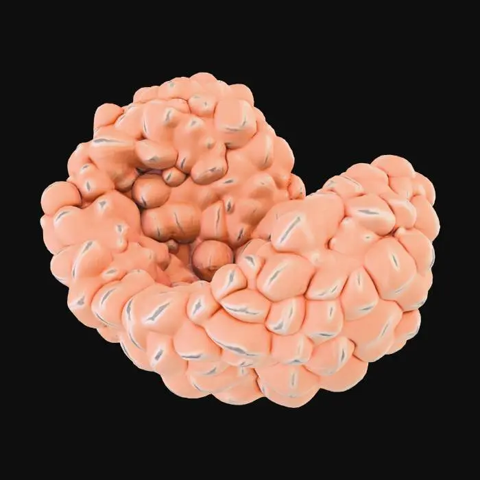 3D model for A microscopic, rod-shaped Mycobacterium, characterized by its slightly curved, elongated bacillus form. Its surface is smooth yet distinctly waxy, reflecting the complex lipid-rich cell wall. The texture suggests a firm, resilient biological membrane. Coloration is translucent, appearing faintly off-white or pale beige, with subtle internal structures hinted at beneath its surface, emphasizing its rigid, protective exterior.