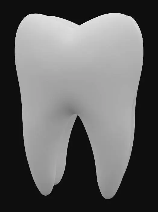 3D model for just a white maxilar first molar