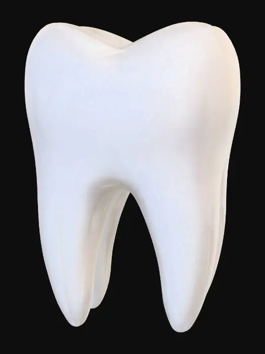 3D model for just a white maxilar first molar