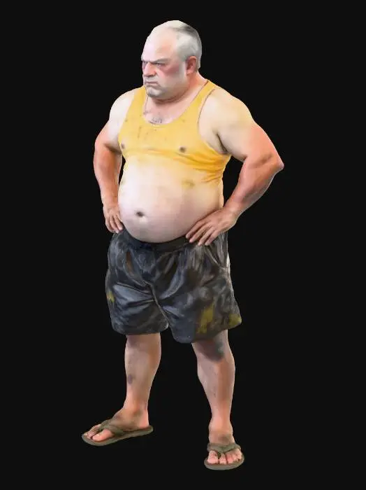 3D model for Determined Resolve