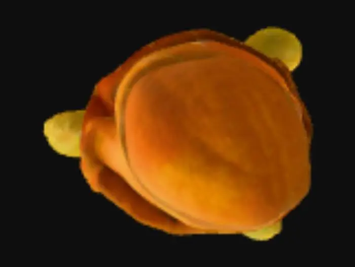 3D model for Cactus Cowboy wearing a hat