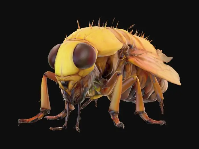 3D model for #food#, Ultra-realistic, Siphonaptera, flea insect, Designed for video games, Realistic and highly detailed texture, Digital art, 4k, Fine details, Clean lines, Vivid colors, Unity-ready, Character Design, mmorpg,