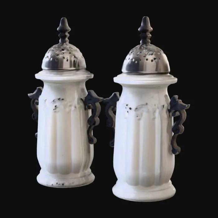 3D model for salt and pepper