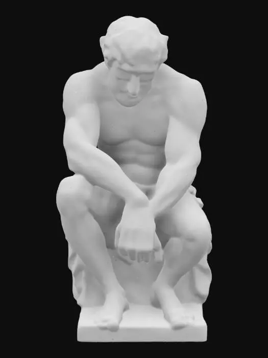 3D model for Introspection