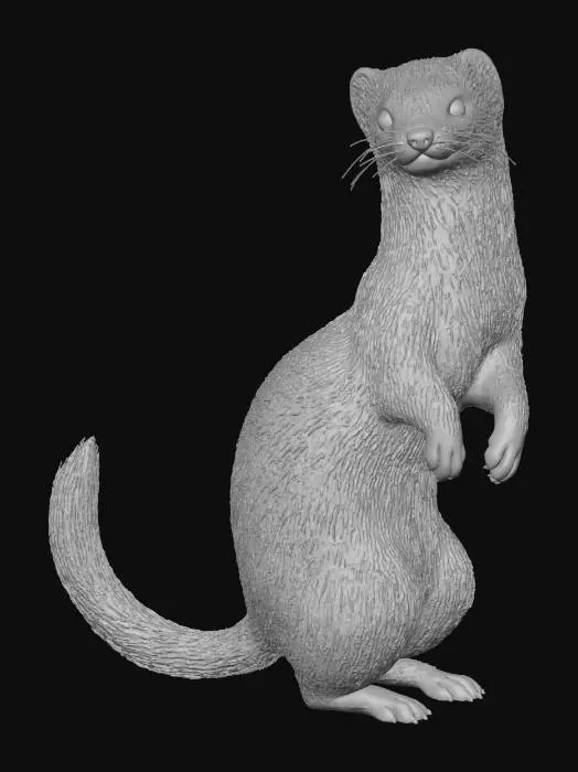 3D model for 날씬하고 우아한 하얀 족제비 캐릭터로, 몸 전체가 부드럽고 풍성한 백색 털로 덮여있어 섬세한 촉감을 선사합니다. 생기 넘치는 핑크색 코와 크고 반짝이는 귀여운 눈망울이 특징입니다. 길고 가느다란 꼬리는 끝부분이 선명한 검은색으로 대비되며, 두 번째 이미지의 날렵한 비율을 반영한 매끄러운 유기적 곡선 형태를 지닌 3D 모델입니다.