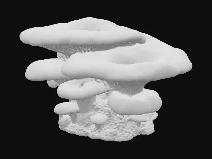 3D model for shelf fungi. oval shape. smaller shelf fungi below