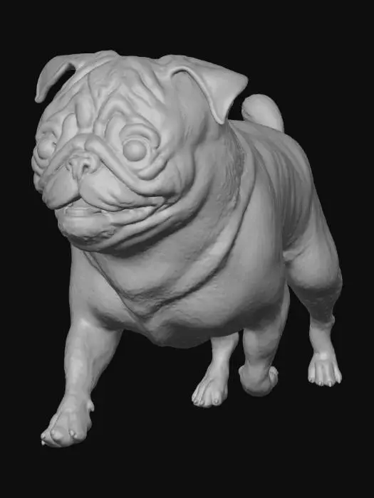 3D model for pug_runningB.png