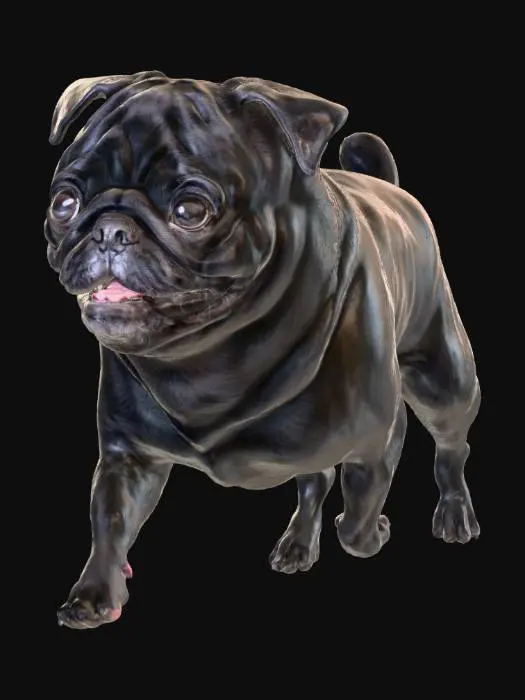 3D model for pug_runningB.png