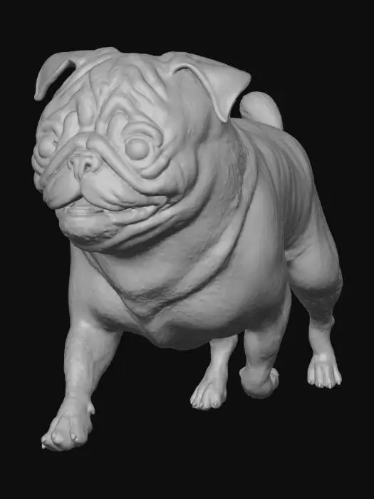3D model for pug_runningB.png